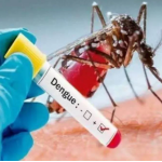Dengue Cases: डेंगू के नए हाट स्पाट बने मकनपुर और साहिबाबाद क्षेत्र, बरतें ये सावधानी